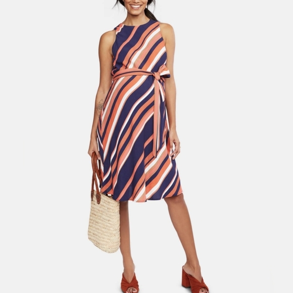 A Pea in the Pod Sleeveless Striped Dress - Picture 5 of 13